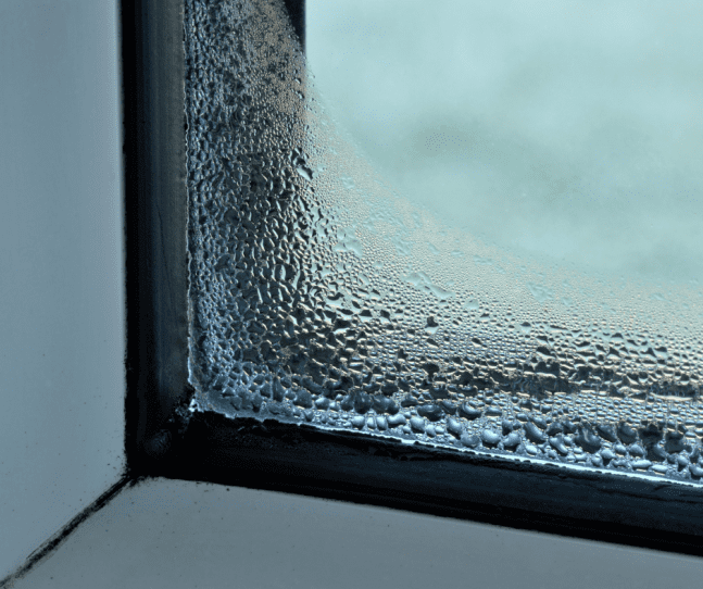Condensation sur une fenêtre 