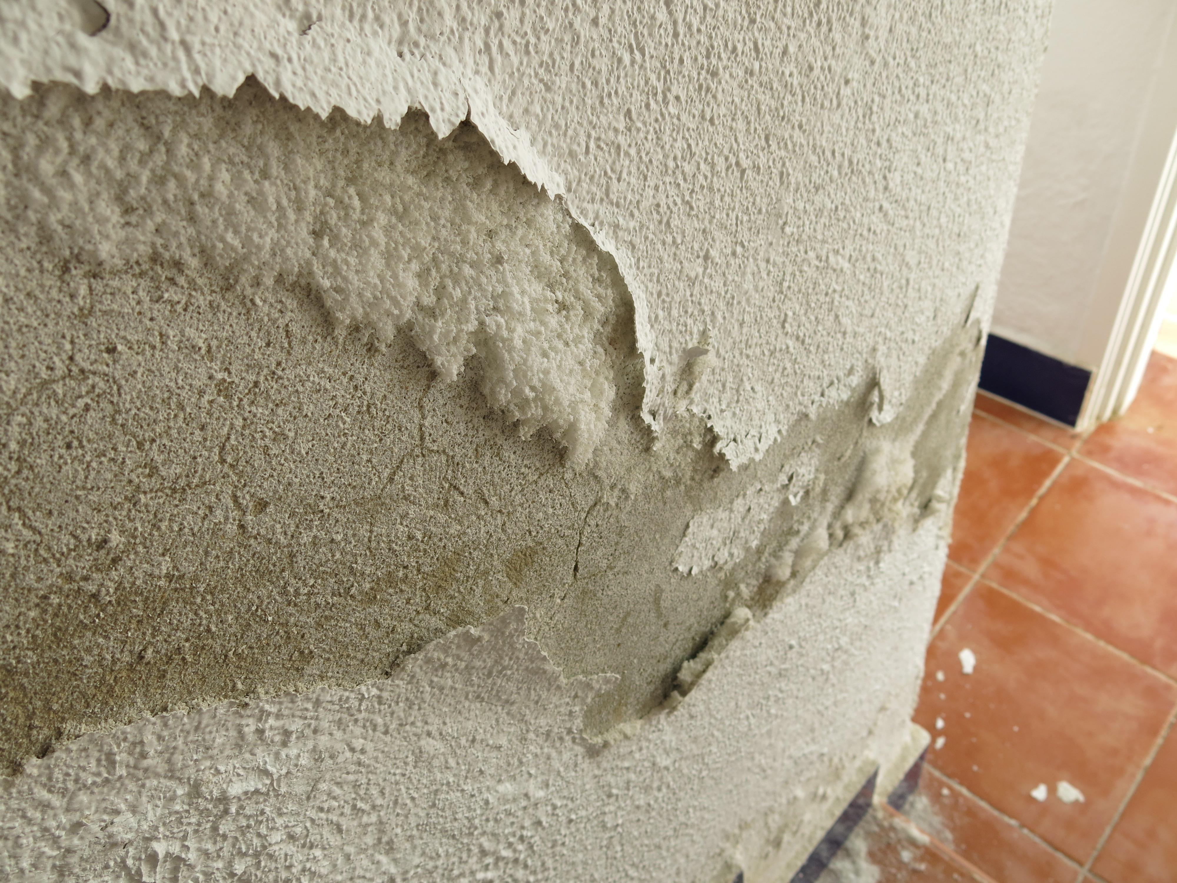 Humidité dans les murs intérieurs : Causes, traitement et conseils